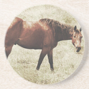 Dessous De Verre En Grès Cheval de la baie