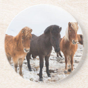 Dessous De Verre En Grès Cheval islandais en hiver en Islande