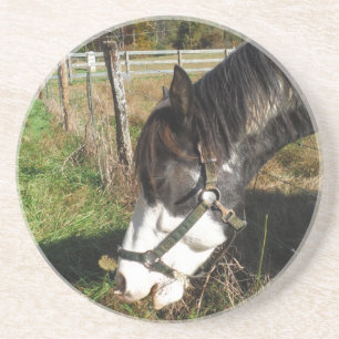 Dessous De Verre En Grès Cheval Peint, Manger Reine Ann Fleur dentelle