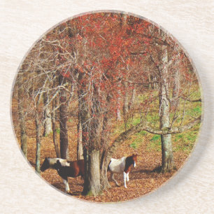 Dessous De Verre En Grès Chevaux jumeaux Brown et blancs