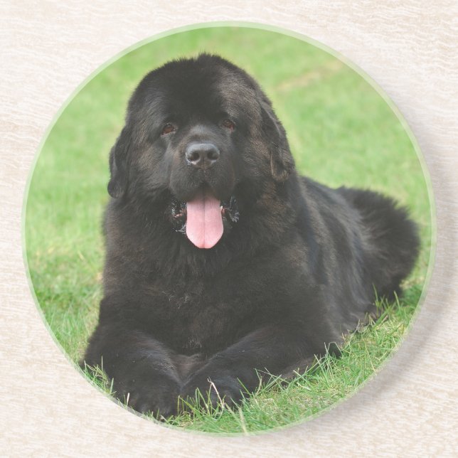 Dessous De Verre En Grès Chien de Terre-Neuve (Devant)