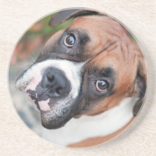 Dessous De Verre En Grès Chien mignon de boxeur
