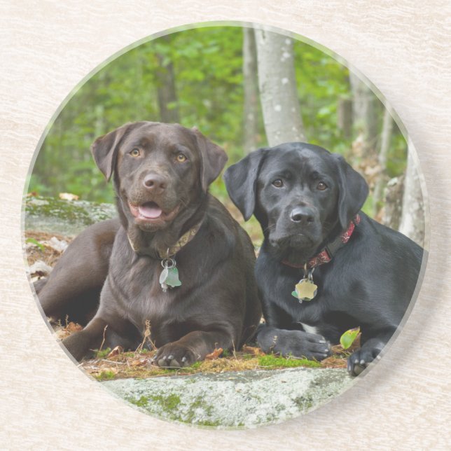 Dessous De Verre En Grès Chiens Chiens Marionnettes Black Lab Chocolat Labr (Devant)