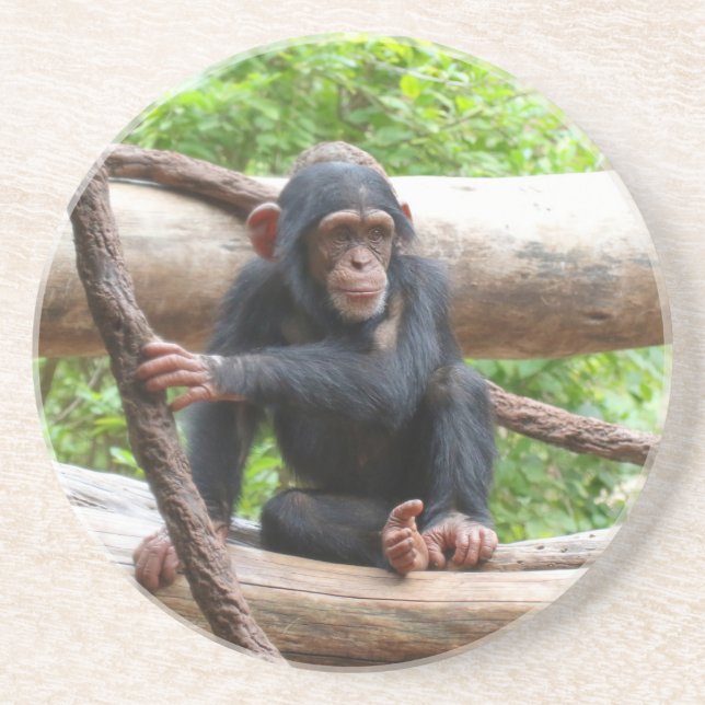 Dessous De Verre En Grès Chimpanzée 001 (Devant)