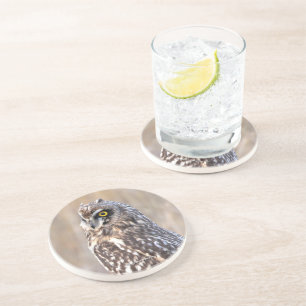 Dessous De Verre En Grès Chouette à courte portée dans les marais