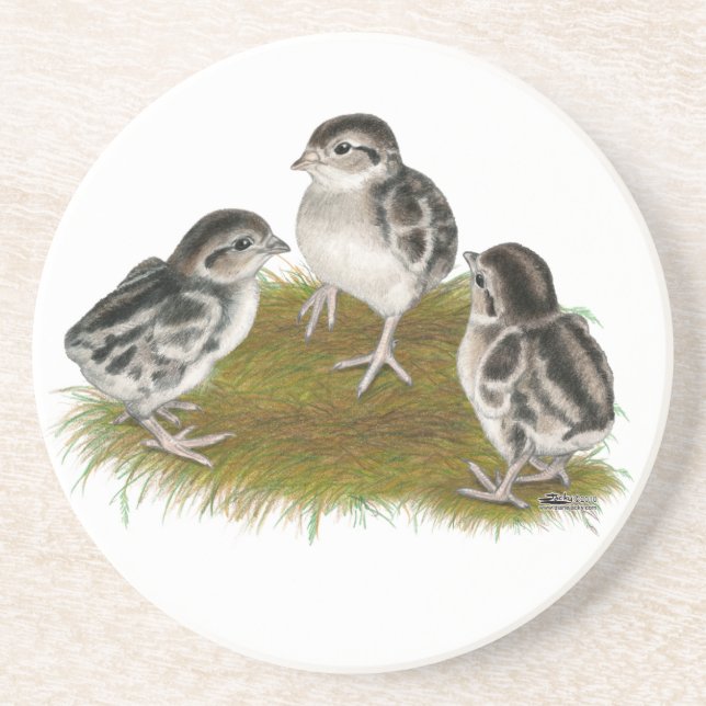 Dessous De Verre En Grès Chukar Partridge Chicks (Devant)
