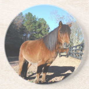 Dessous De Verre En Grès Ciel turquoise de poney Brown