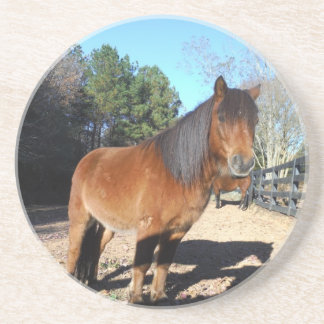 Dessous De Verre En Grès Ciel turquoise de poney Brown