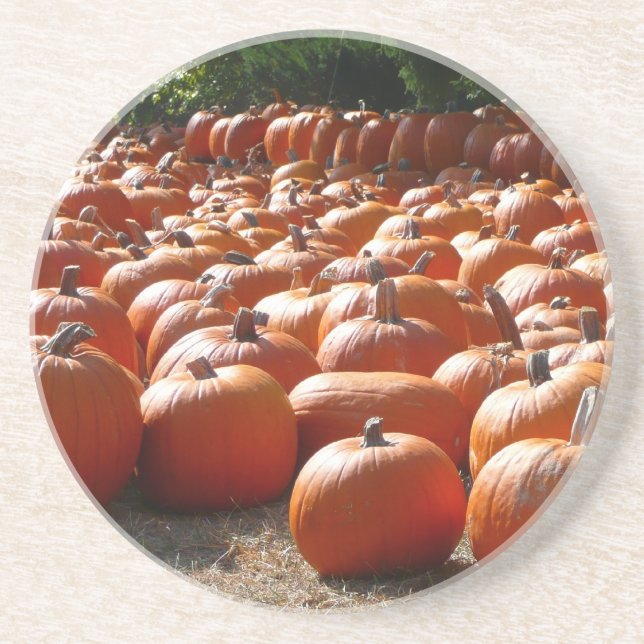 Dessous De Verre En Grès Citrouille Patch Automne Harvest Photographie (Devant)
