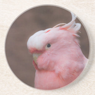 Dessous De Verre En Grès Cockatoo rose