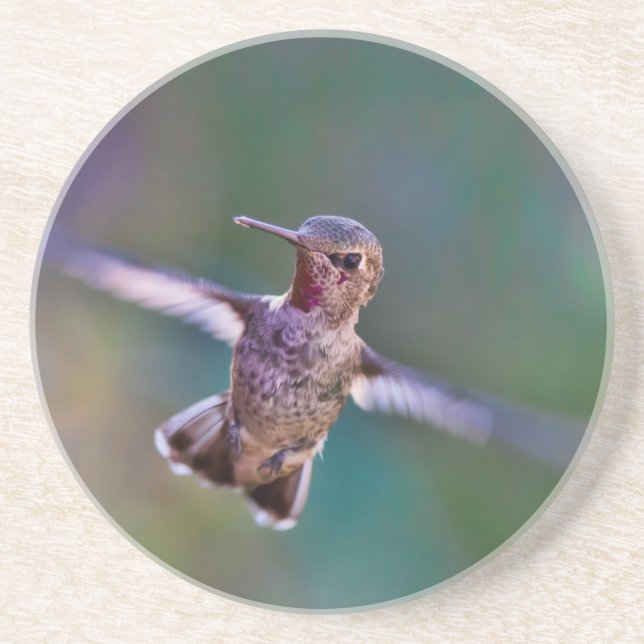 Dessous De Verre En Grès Colibri (Devant)