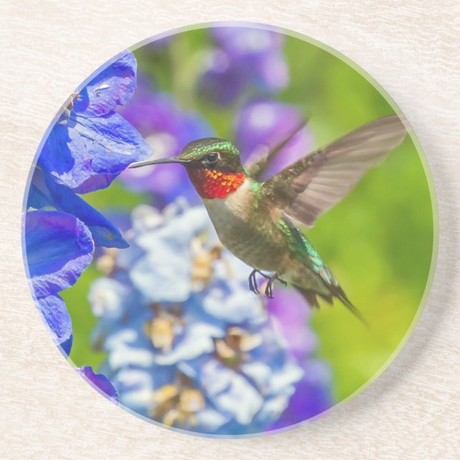 Dessous De Verre En Grès Colibri Et Delphinium (Devant)
