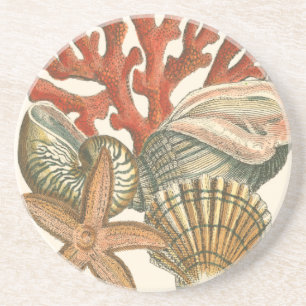 Dessous De Verre En Grès Collection de vie marine