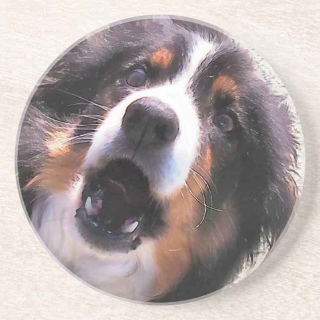 DESSOUS DE VERRE EN GRÈS COLLIE FRONTALIÈRE (Devant)
