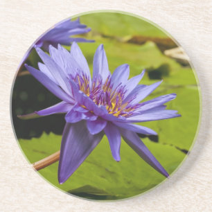Dessous De Verre En Grès Conception botanique florale de nénuphar tropical