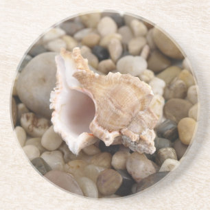 Dessous De Verre En Grès Conque Shell sur des cailloux