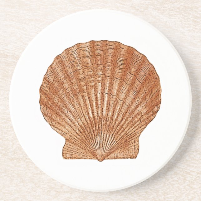Dessous De Verre En Grès Coquille de saint-jacques de baie (Devant)