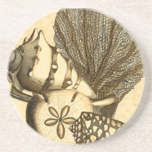Dessous De Verre En Grès Coquilles neutres et collection de corail
