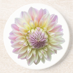 Dessous De Verre En Grès Coralie Dahlia, Fleur rose Pastel