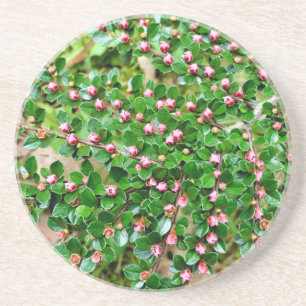 Dessous De Verre En Grès Cotonou horizontalis