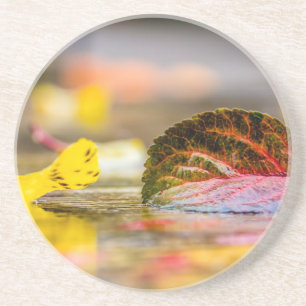 Dessous De Verre En Grès Couleurs d'automne