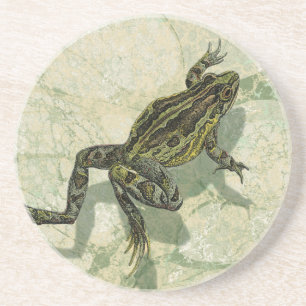 Dessous De Verre En Grès Crapaud Swinning dans l'eau