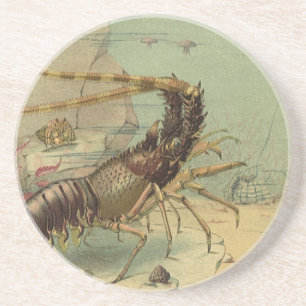 Dessous De Verre En Grès Crevettes marines, animaux de l'océan Vintage