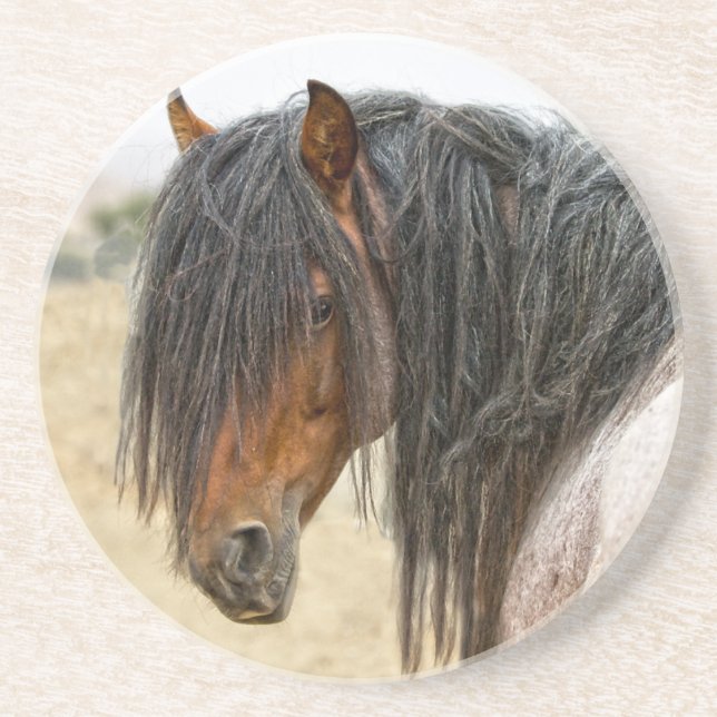 Dessous De Verre En Grès Crinière de cheval (Devant)