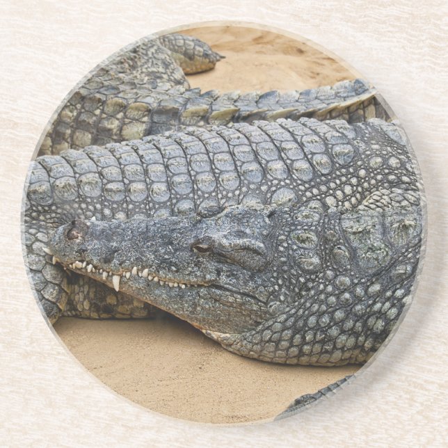 Dessous De Verre En Grès Crocodile (Devant)