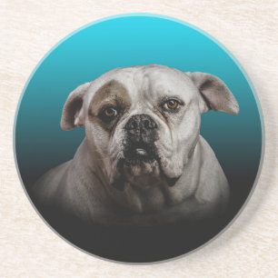 Dessous De Verre En Grès Cute Boxer Dog w Blue Black Gradient arrière - pla