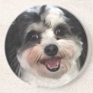 Dessous De Verre En Grès Cute K-Cee Zuchon Chien Smile 2