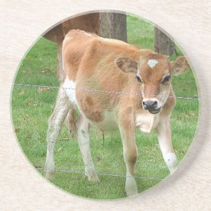Dessous De Verre En Grès Cute Little Calf