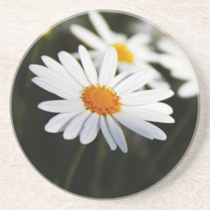 Dessous De Verre En Grès Daisy