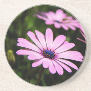 Dessous De Verre En Grès Daisy africain