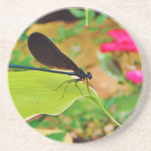 Dessous De Verre En Grès Damselfly et Rose