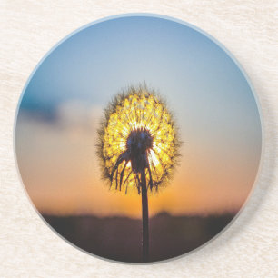 Dessous De Verre En Grès Dandelion au lever du soleil
