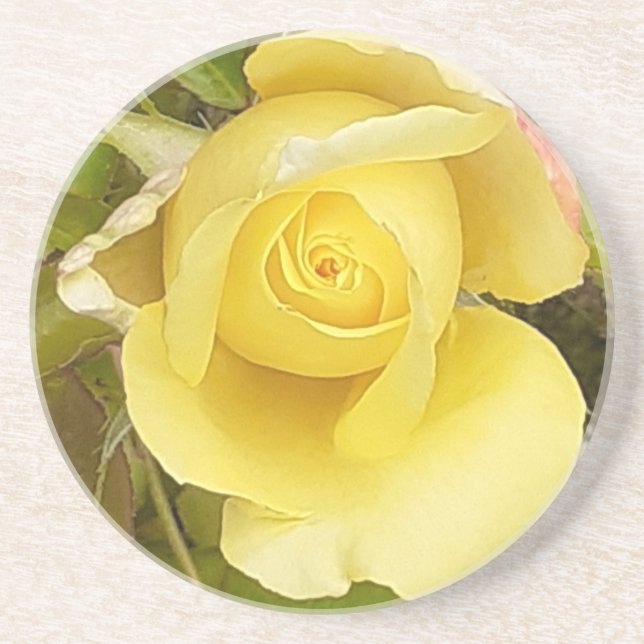 Dessous de verre en grès de Rosebud jaune (Devant)