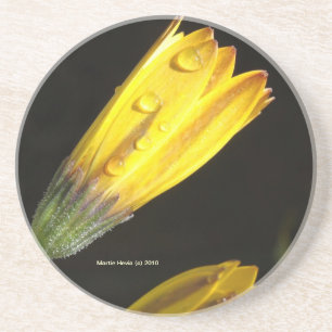 Dessous De Verre En Grès Découpe sur une marguerite jaune - Dessous de verr