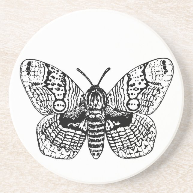 Dessous De Verre En Grès Dessin Brahmin moth (Devant)