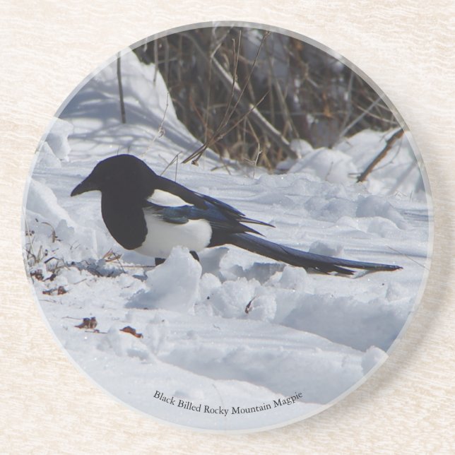 Dessous De Verre En Grès Dessous de verre de grès Rocky Mountain Magpie (Devant)