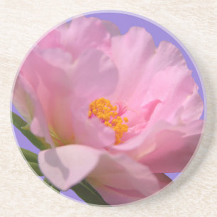 Dessous De Verre En Grès Dessous de verre de grès rose Peony