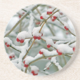Dessous De Verre En Grès Dessous de verre rouges de grès de scène d'hiver