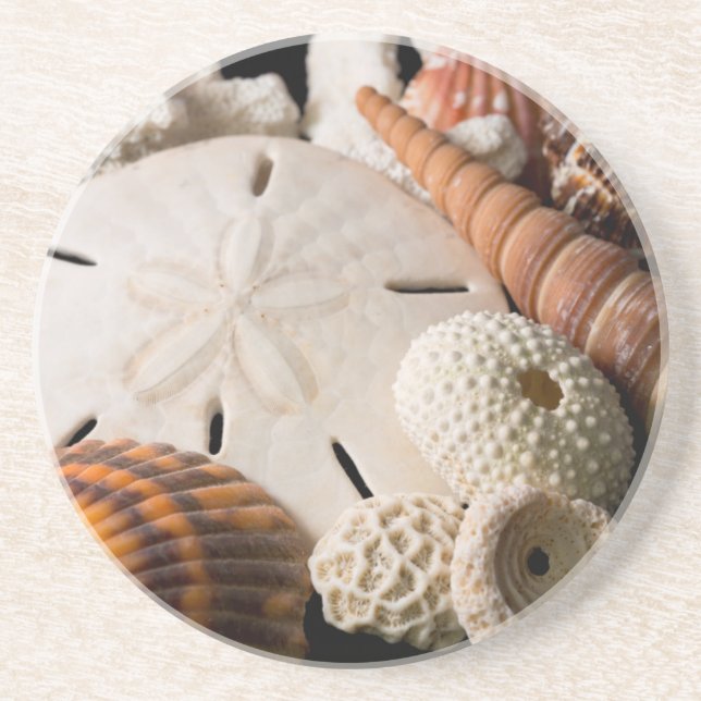 Dessous De Verre En Grès Détail Des Coquillages Du Monde Entier (Devant)
