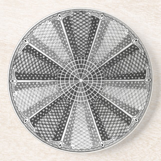 Dessous De Verre En Grès Diatom 13 Ernst Haeckel Fine Art (Devant)