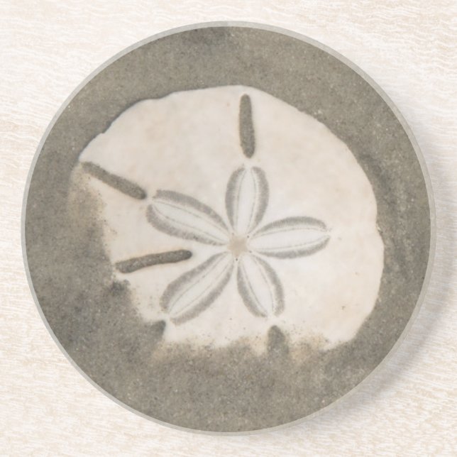 Dessous De Verre En Grès Dollar de sable (Echinarachnius parma) (Devant)