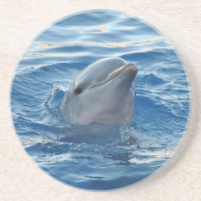Dessous De Verre En Grès Dolphin (Devant)