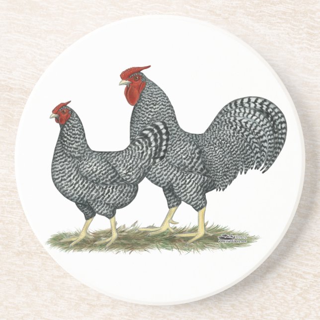 Dessous De Verre En Grès Dominique Chickens (Devant)