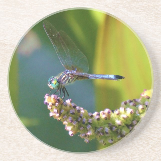 Dessous De Verre En Grès Dragonfly aux yeux turquoises (Devant)
