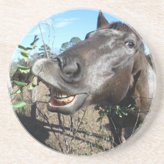 Dessous De Verre En Grès Drôle Cheval brun visage (Devant)
