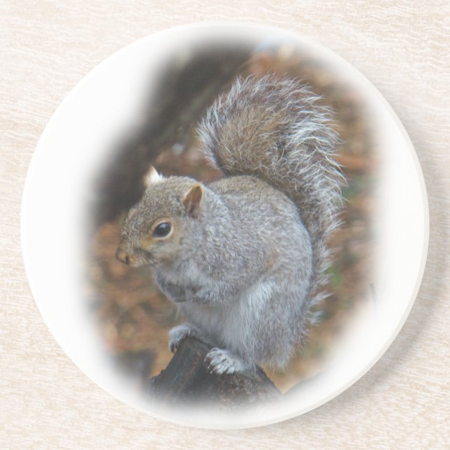 Dessous De Verre En Grès Écureuil gris de l'Est - Sciurus carolinensis (Devant)